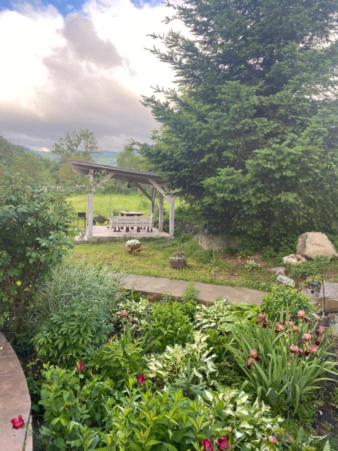 Holiday Home Usadba Novoselitsa Novoselitsa  Экстерьер фото