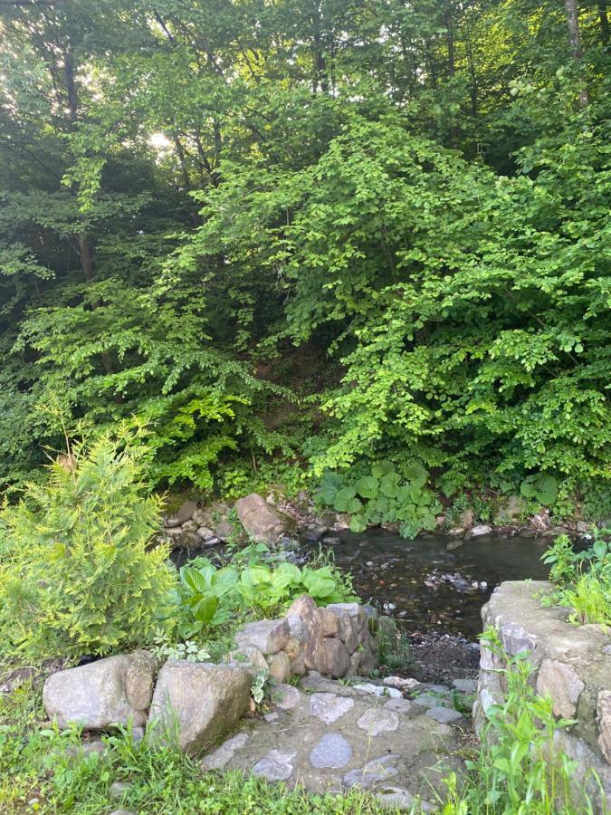 Holiday Home Usadba Novoselitsa Novoselitsa  Экстерьер фото