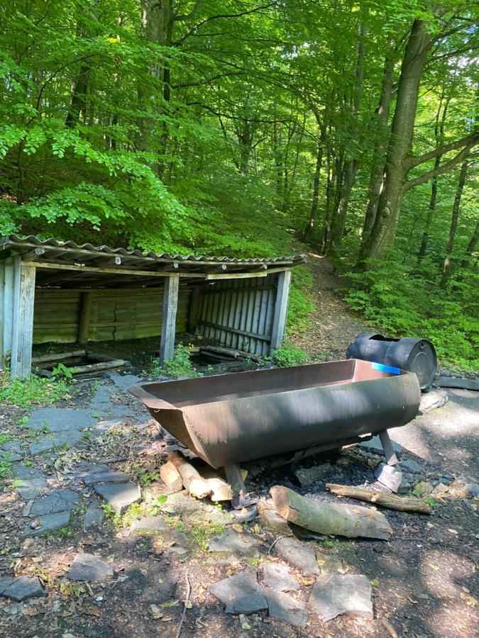Holiday Home Usadba Novoselitsa Novoselitsa  Экстерьер фото