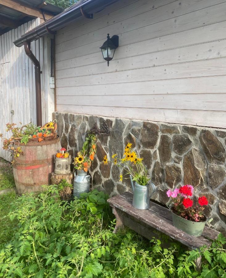 Holiday Home Usadba Novoselitsa Novoselitsa  Экстерьер фото