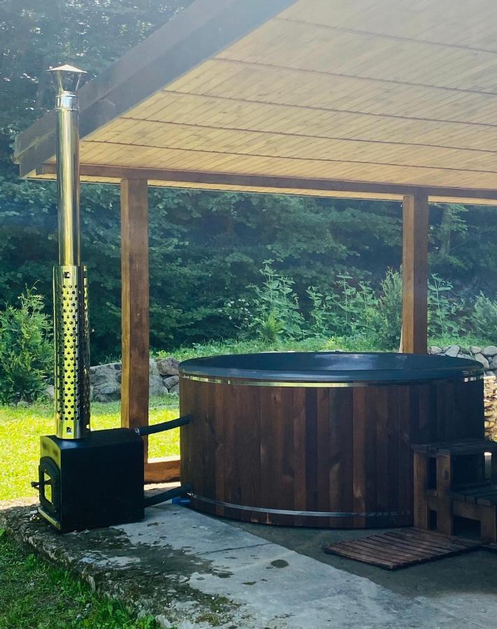 Holiday Home Usadba Novoselitsa Novoselitsa  Экстерьер фото