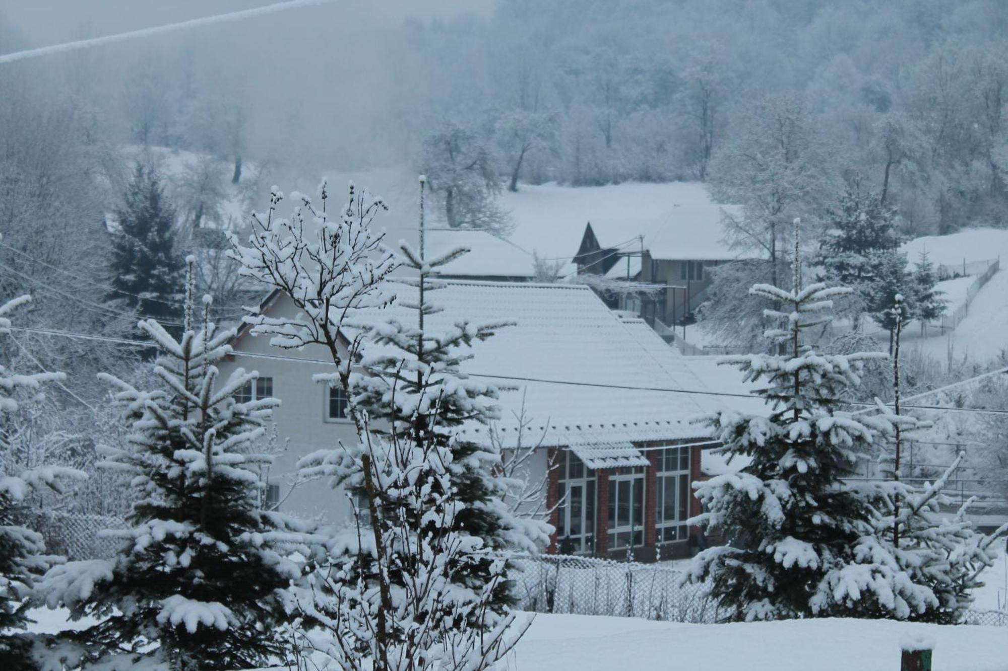Holiday Home Usadba Novoselitsa Novoselitsa  Экстерьер фото