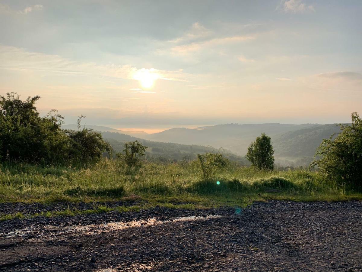 Holiday Home Usadba Novoselitsa Novoselitsa  Экстерьер фото